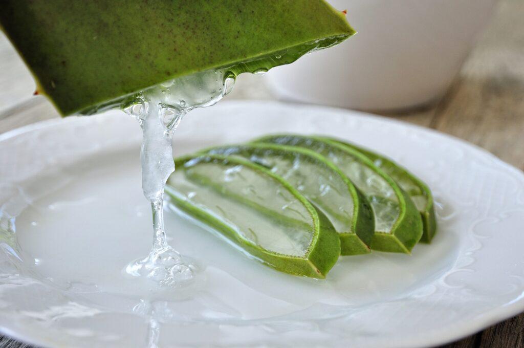 aloe vera 2