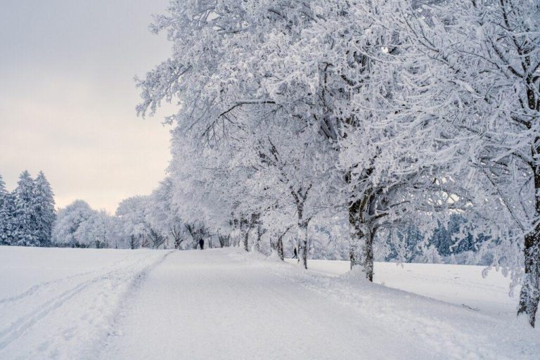 Frostige Luft fegt über Europa und bringt Schnee zu uns