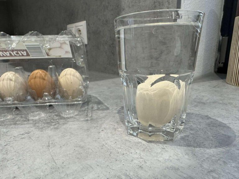 So finden Sie heraus, ob das Ei verdorben ist. Nur ein Glas Wasser
